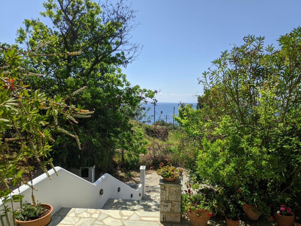 Oikia Guesthouse Stafylos Bagian luar foto